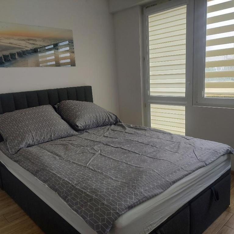 Apartament Mira Rzeszów Exterior foto